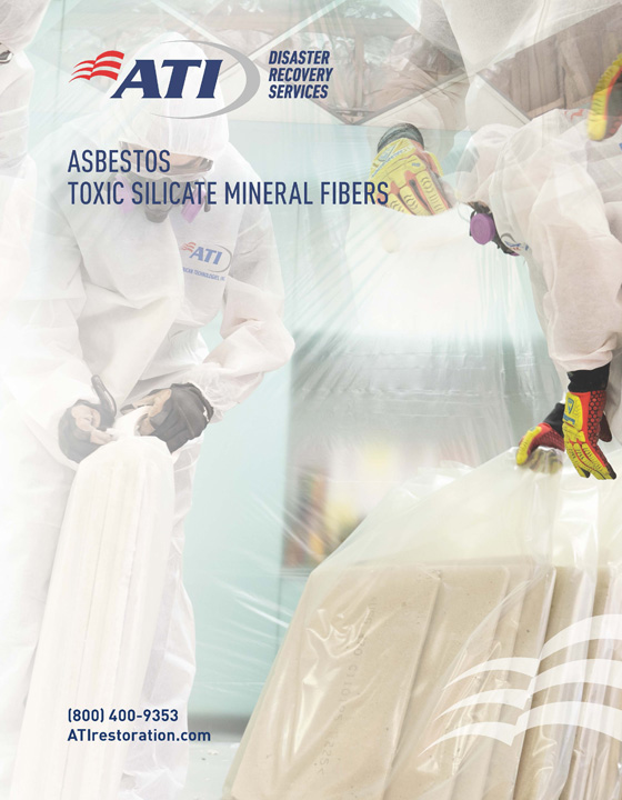 Asbestos – Toxic Silicate Mineral Fibers