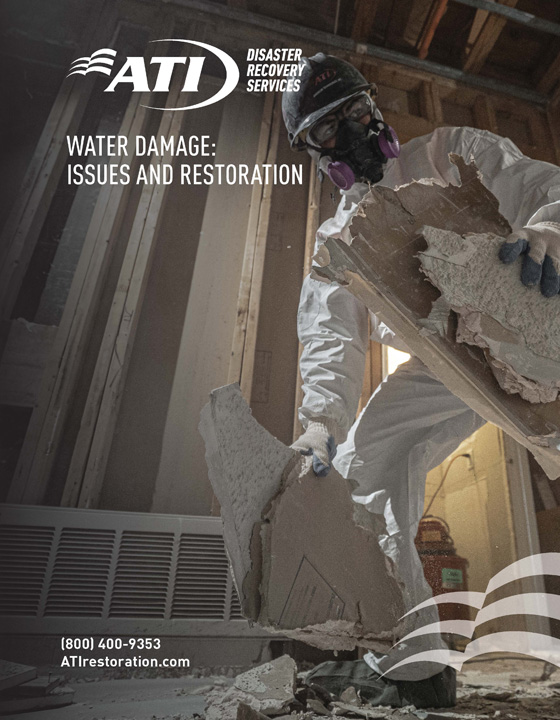 Water Damage: Issues and Restoration