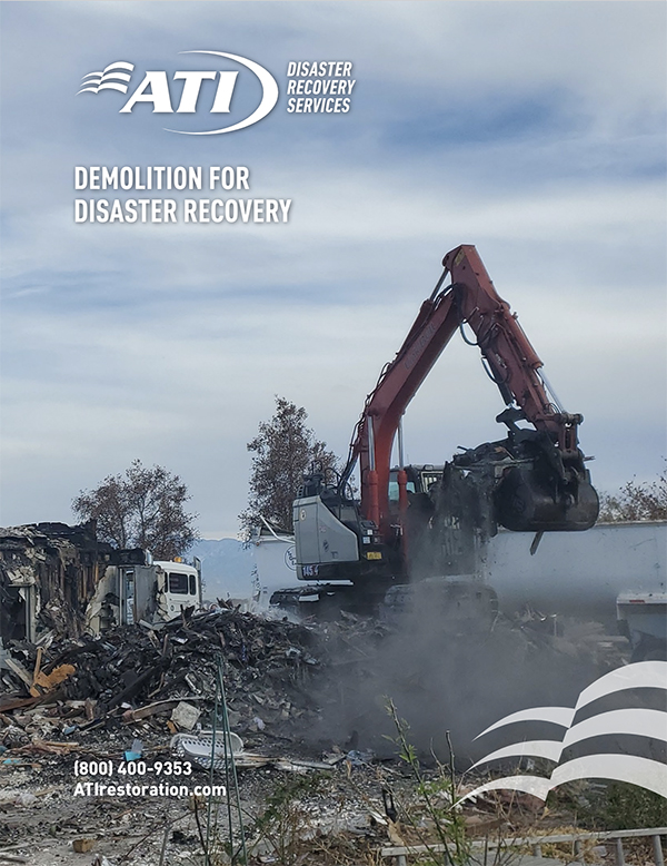 demolition for disaster recovery whitepaper cover