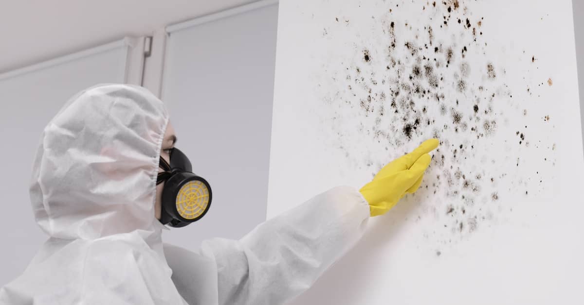 Mold remediation expert pointing out mold on walls | ATI Restoration