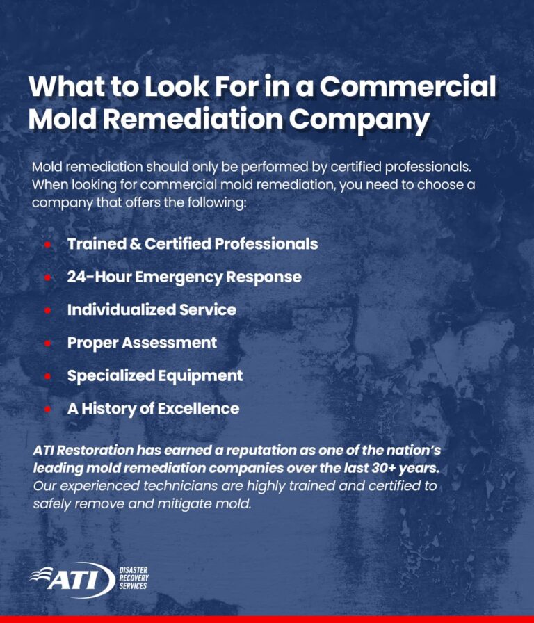 What to look for in a commercial mold remediation company | ATI Restoration