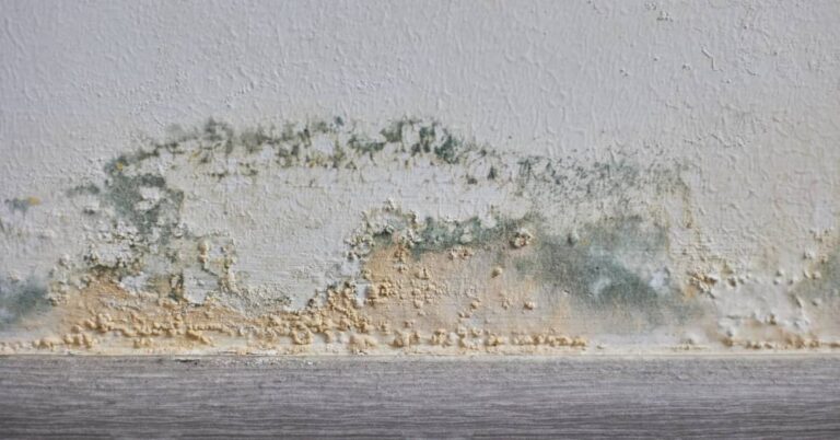 Mold in a commercial building | ATI Restoration