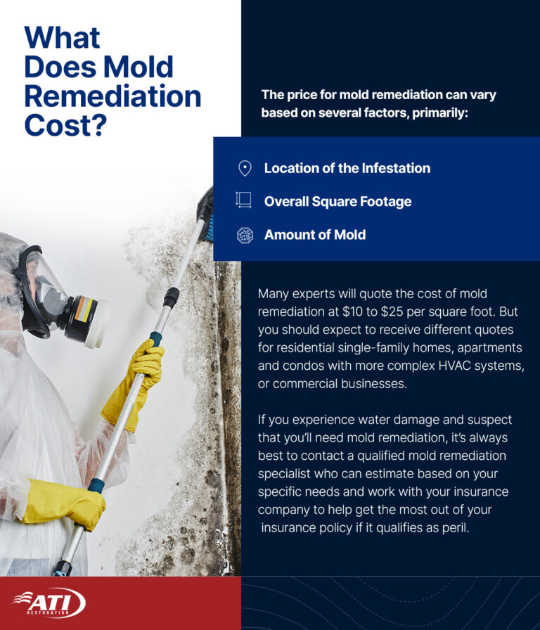 What to look for in a commercial mold remediation company | ATI Restoration